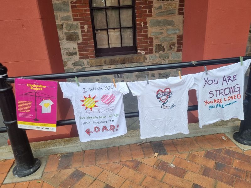 Clothesline  - Visitor Centre 1